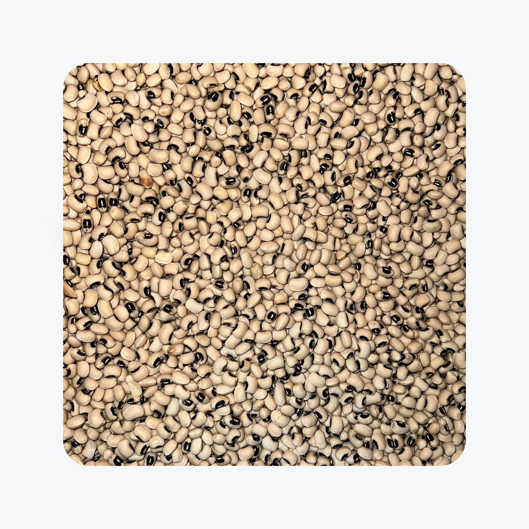 Loose Black Eye Peas (1 Pound)