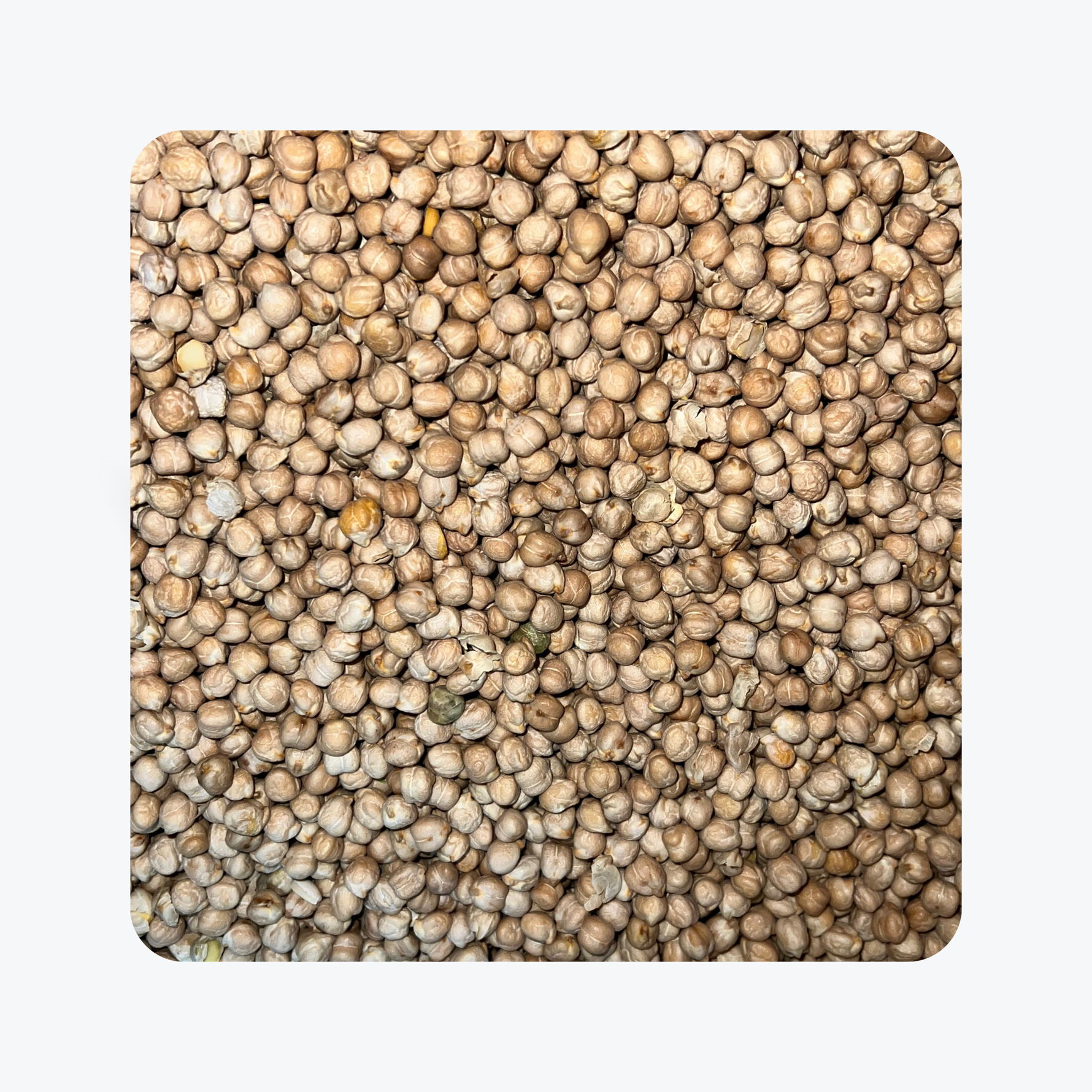 Loose Channa/Chick Peas (1 Pound)