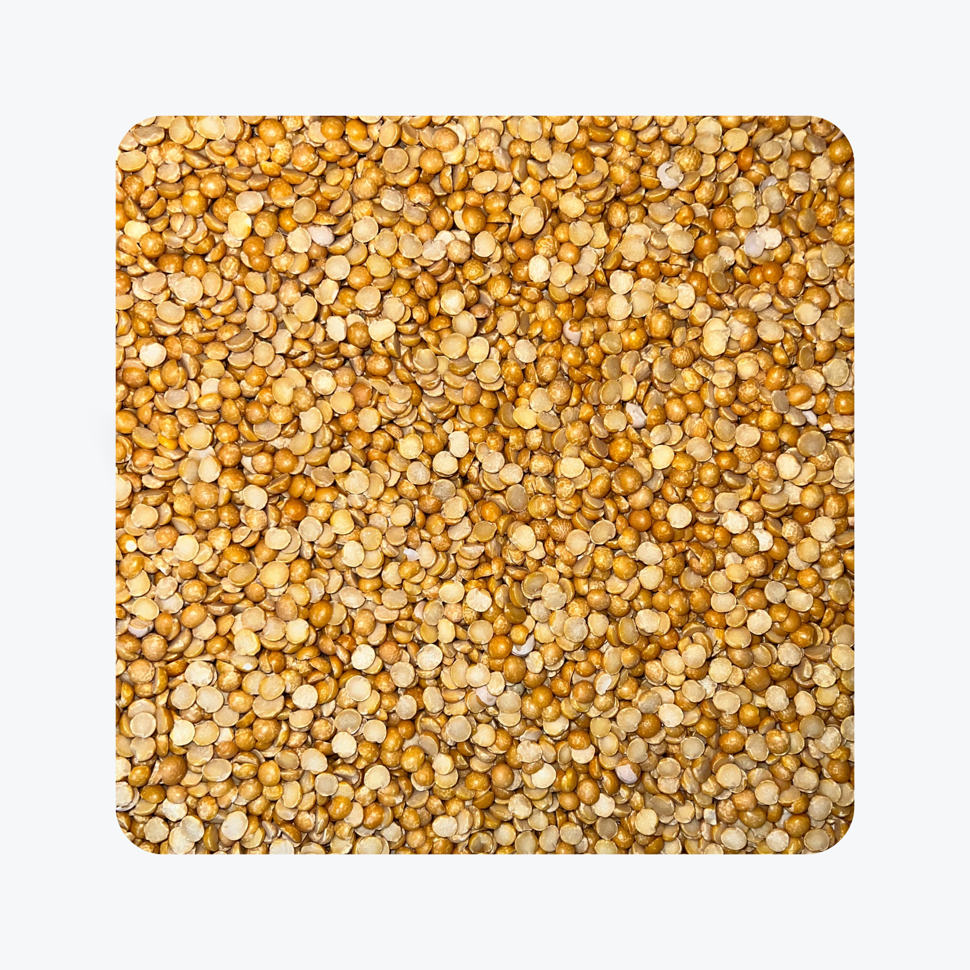 Loose Guyana Yellow Split Peas (1 Pound)