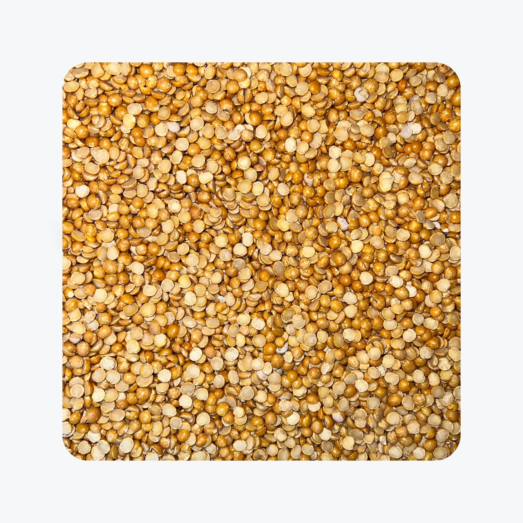 Loose Guyana Yellow Split Peas (1 Pound)
